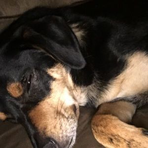 Meet your Posher, Erika